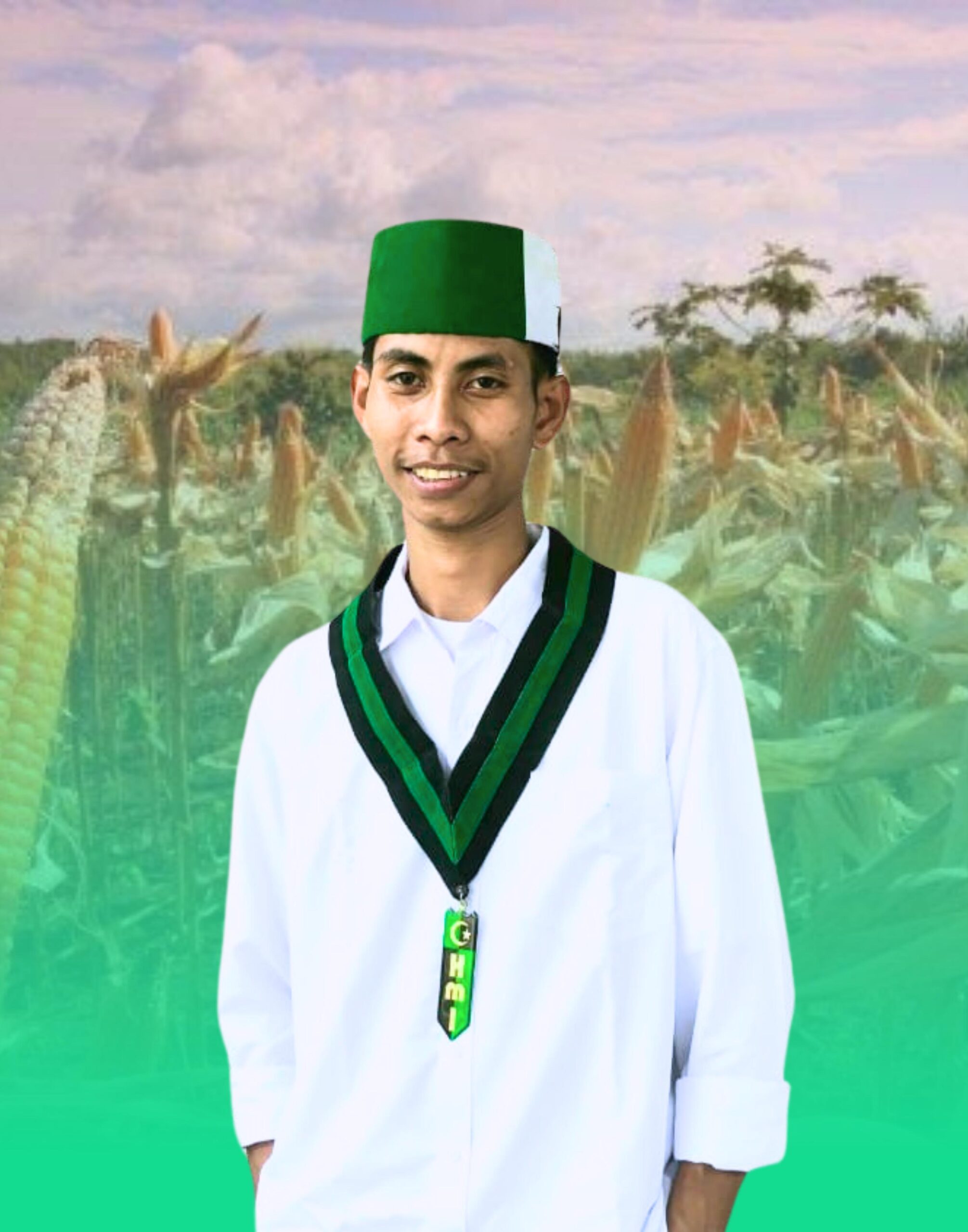 Gembar-Gembor NTB Mendunia, Petani Jagung Menjerit Akibat Harga Anjlok!