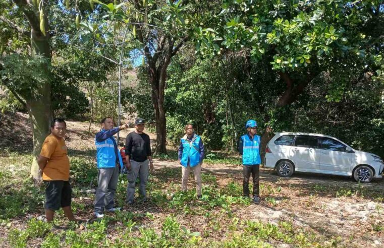 Tindaklanjuti Hasil RDP dengan Waka 1 DPRD Kab. Bima, PLN UP3 Bima Mulai Survey Lokasi Pengembangan Instalasi Listrik di Sanggar