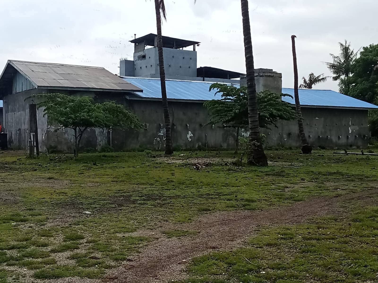 Kuat Dugaan Oknum DPRD Menantu Bupati Bima Alih Fungsikan Lahan HGU ke Usaha Walet Pribadi